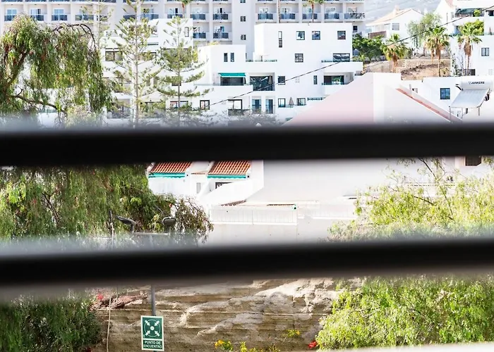 公寓 Cosy In The Heart Of Adeje 阿德耶